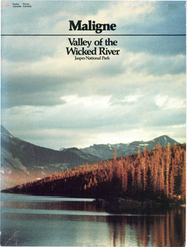 Maligne: Valley of the Wicked River
