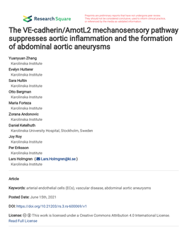 The VE-Cadherin/Amotl2 Mechanosensory Pathway Suppresses Aortic In�Ammation and the Formation of Abdominal Aortic Aneurysms