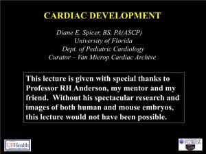 Cardiac Development Cardiac Development