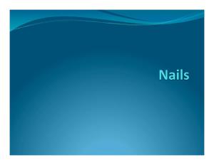 Nails Develop from Thickened Areas of Epidermis at the Tips of Each Digit Called Nail Fields