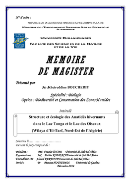 Memoire De Magister