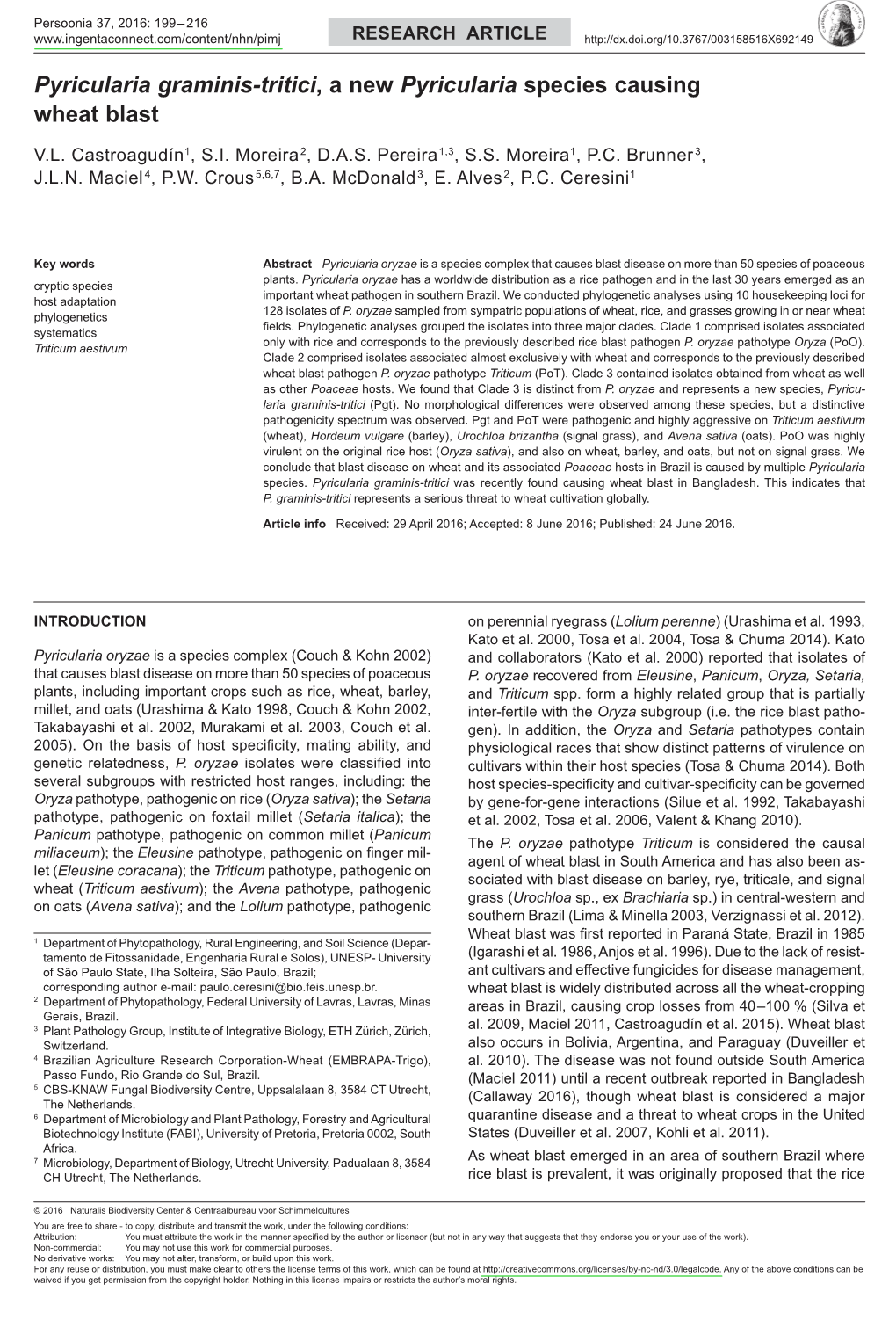 <I>Pyricularia</I> Species Causing Wheat Blast