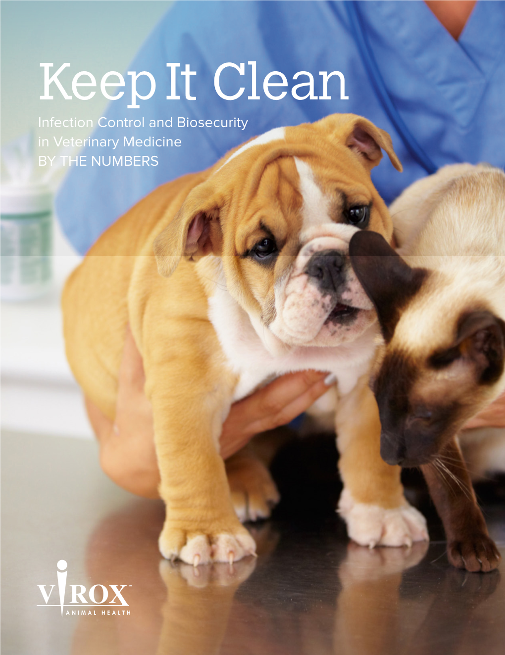 Keep It Clean: Infection Control and Biosecurity in Veterinary Medicine