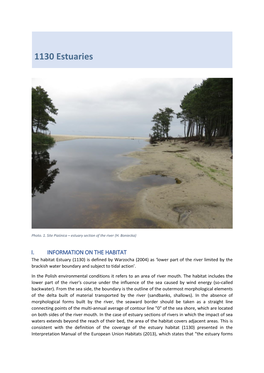 1130 Estuaries