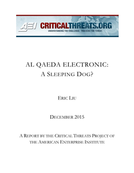 Al Qaeda Electronic: a Sleeping Dog?