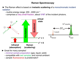 Raman Spectroscopy