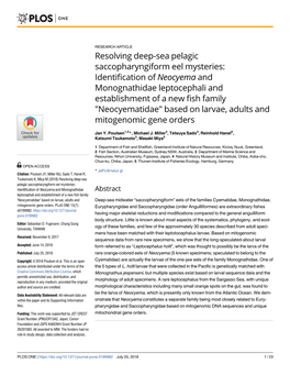 Resolving Deep-Sea Pelagic Saccopharyngiform Eel Mysteries