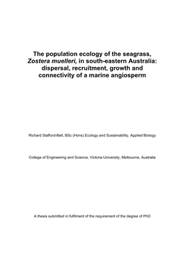 The Population Ecology of the Seagrass, Zostera Muelleri, in South-Eastern Australia: Dispersal, Recruitment, Growth and Connectivity of a Marine Angiosperm