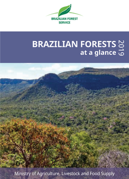 BRAZILIAN FORESTS at a Glance