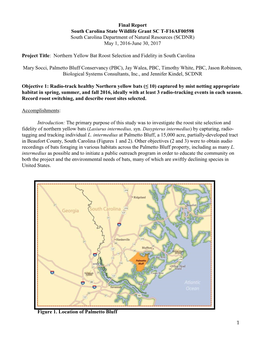 Northern Yellow Bat Roost Selection and Fidelity in South Carolina