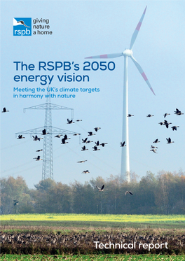 The RSPB's 2050 Energy Vision