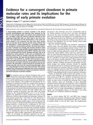 Evidence for a Convergent Slowdown in Primate Molecular Rates and Its Implications for the Timing of Early Primate Evolution