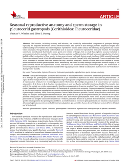 Seasonal Reproductive Anatomy and Sperm Storage in Pleurocerid Gastropods (Cerithioidea: Pleuroceridae) Nathan V