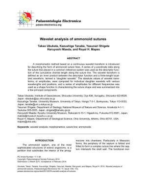Wavelet Analysis of Ammonoid Sutures