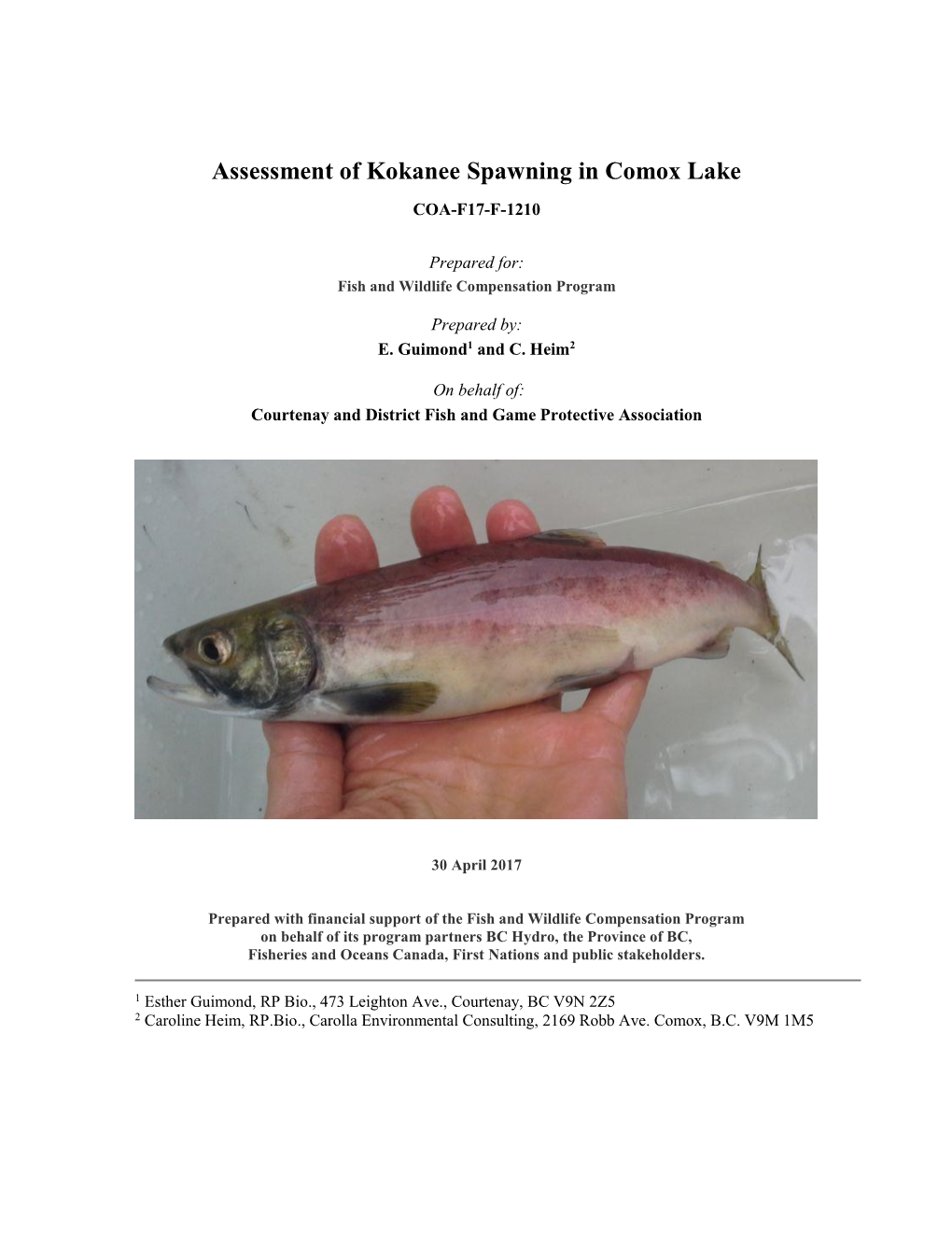 Assessment of Kokanee Spawning in Comox Lake