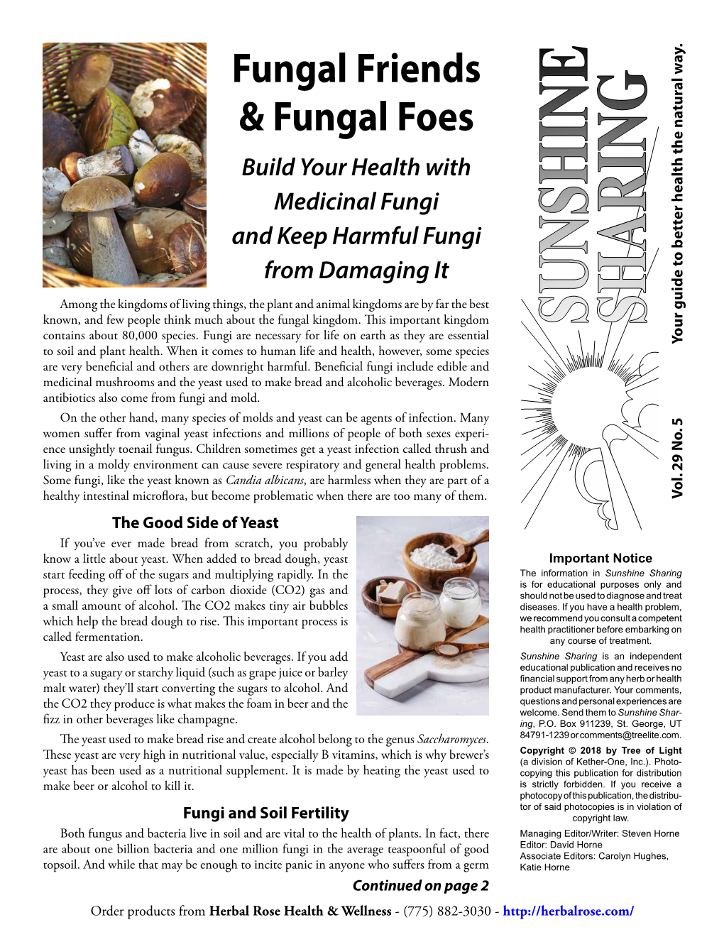 Fungal Friends and Foes