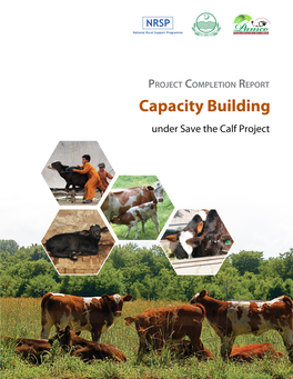 Project Completion Report Capacity Building Under Save the Calf Project