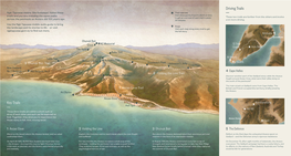 Download the Brochure for the Ngā Tapuwae Gallipoli Trail