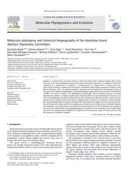 Molecular Phylogeny and Historical Biogeography of the Anatolian Lizard Apathya (Squamata, Lacertidae)