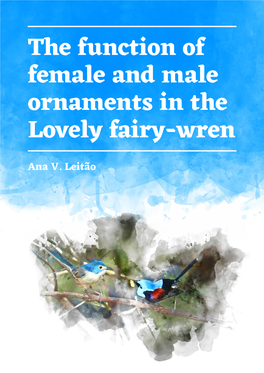 The Function of Female and Male Ornaments in the Lovely Fairy-Wren