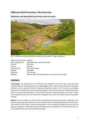 Oresome North Pennines: Site Overview