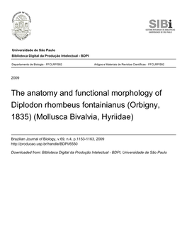 The Anatomy and Functional Morphology of Diplodon Rhombeus Fontainianus (Orbigny, 1835) (Mollusca Bivalvia, Hyriidae)