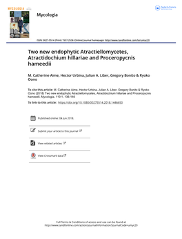 Two New Endophytic Atractiellomycetes, Atractidochium Hillariae and Proceropycnis Hameedii