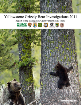 Yellowstone Grizzly Bear Investigations 2011 Report of the Interagency Grizzly Bear Study Team