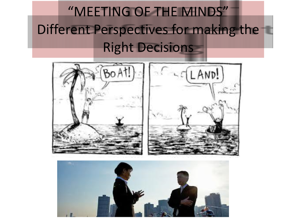MEETING of the MINDS” Different Perspectives for Making the Right Decisions Mall Property Group