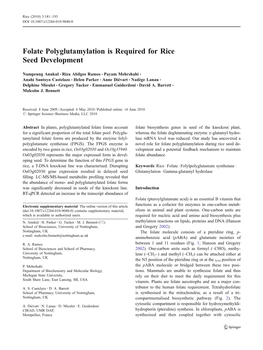 Folate Polyglutamylation Is Required for Rice Seed Development