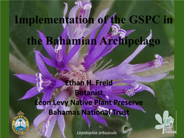 Implementation of the GSPC in the Bahamian Archipelago