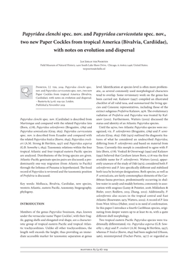 Papyridea Clenchi Spec. Nov. and Papyridea Curvicostata Spec. Nov., Two New Paper Cockles from Tropical America (Bivalvia, Cardi