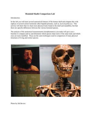 Hominid Skulls Comparison Lab