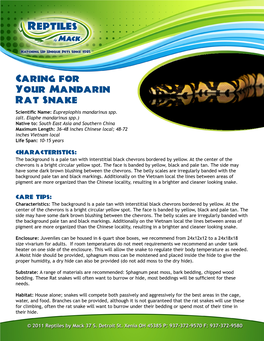 Caring for Your Mandarin Rat Snake Scientific Name: Euprepiophis Mandarinus Spp
