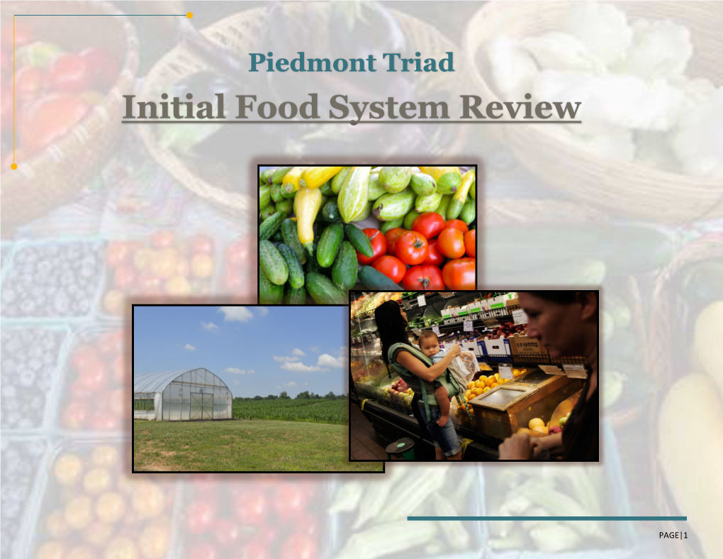 Initial Food System Review