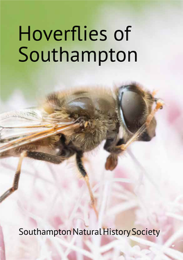 Hoverflies of Southampton