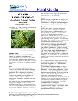 Plant Guide: Schleinitzia Fosbergii (Strand Tangantangan)