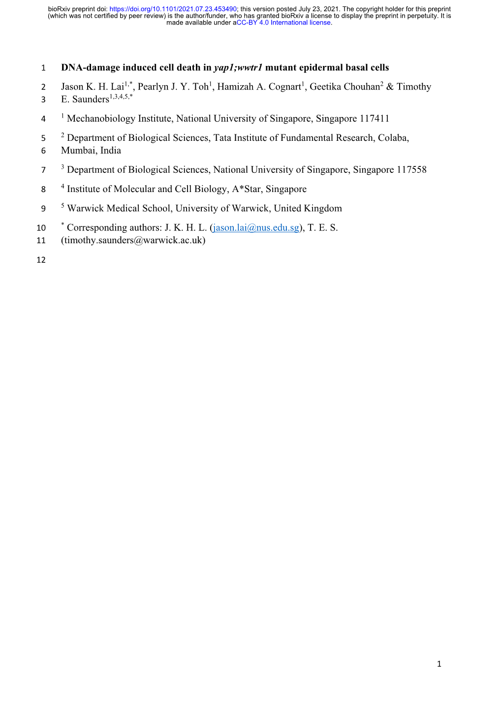 DNA-Damage Induced Cell Death in Yap1;Wwtr1 Mutant Epidermal Basal Cells