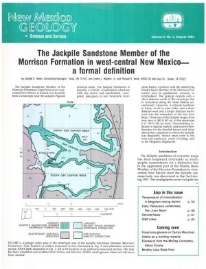 The Jackpile Sandstone Member of the Morrison Formation in West