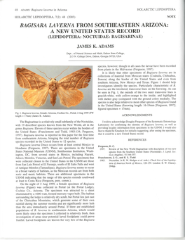 Bagisara Laverna from Southeastern Arizona: a New United States Record (Lepidoptera: Noctuidae: Bagisarinae)