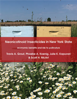 Neonicotinoid Insecticides in New York State