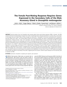 The Female Post-Mating Response Requires Genes Expressed in the Secondary Cells of the Male Accessory Gland in Drosophila Melanogaster