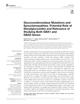 Glucocerebrosidase Mutations and Synucleinopathies. Potential Role of Sterylglucosides and Relevance of Studying Both GBA1 and GBA2 Genes