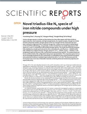 Novel Triadius-Like N4 Specie of Iron Nitride Compounds Under High