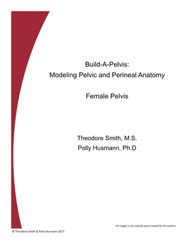 Build-A-Pelvis: Modeling Pelvic and Perineal Anatomy Female Pelvis