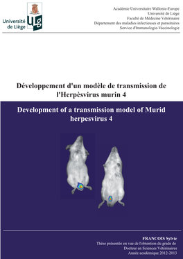 Development of a Transmission Model of Murid Herpesvirus 4
