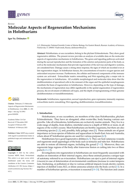 Molecular Aspects of Regeneration Mechanisms in Holothurians