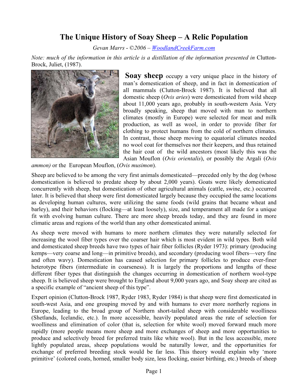 The Unique History of Soay Sheep