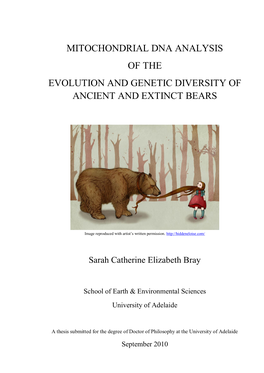 Mitochondrial Dna Analysis of the Evolution and Genetic Diversity of Ancient and Extinct Bears
