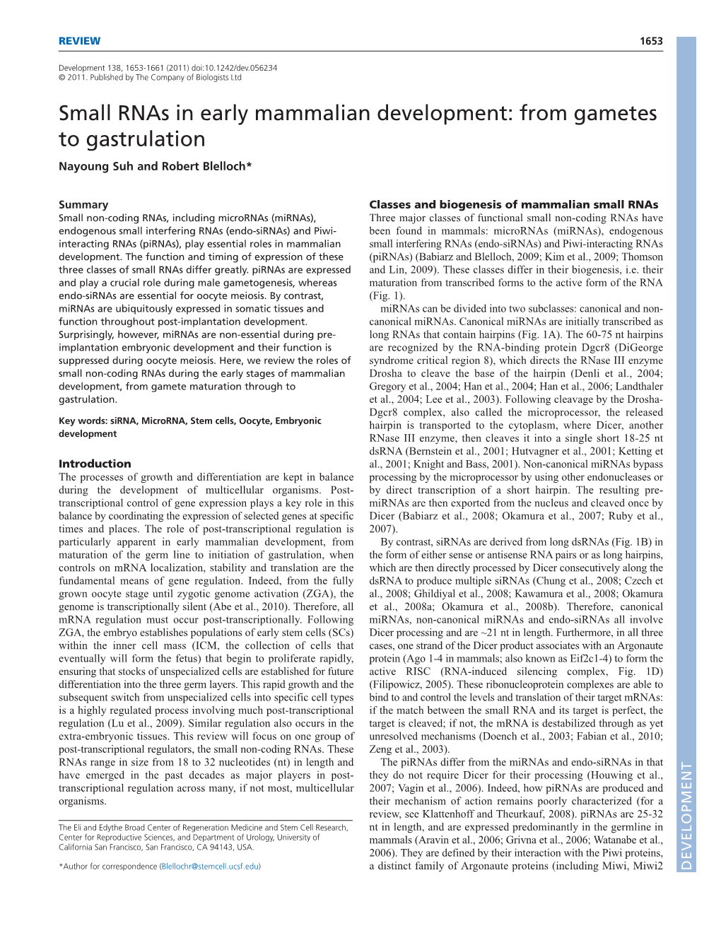 Small Rnas in Early Mammalian Development: from Gametes to Gastrulation Nayoung Suh and Robert Blelloch*